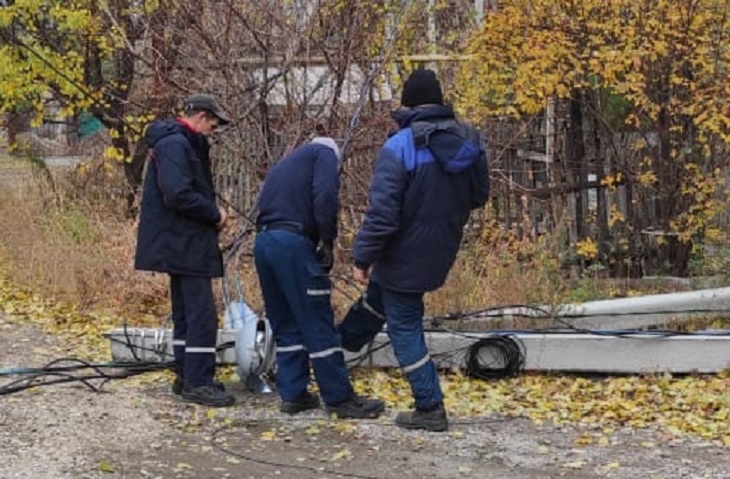 Во дворе дома в Волгограде рухнули два дерева и столб с проводами