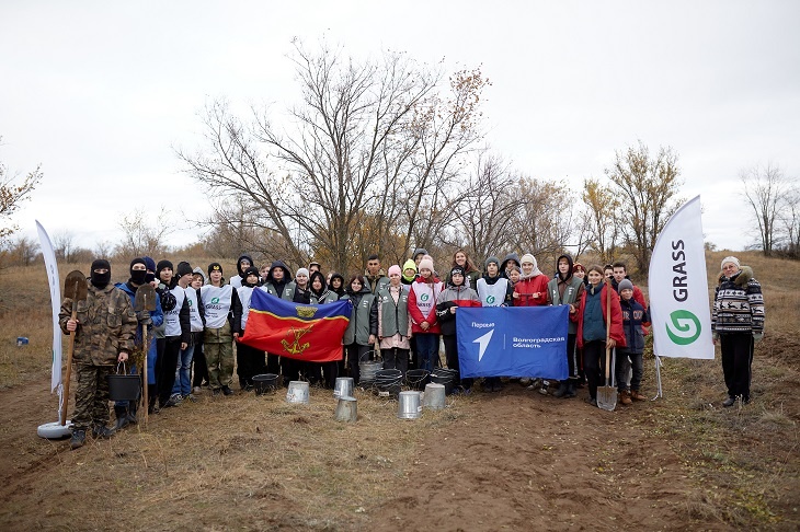 15 000 вязов были посажены для восстановления лесополосы в Калаче-на-Дону Волгоградской области