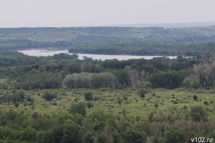 Под Волгоградом незаконно сдали в аренду 9 га особо охраняемых угодий