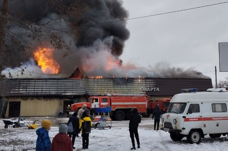 В МЧС назвали причину крупного пожара во Фролово