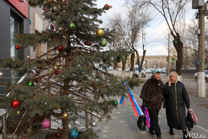 В Волгоградской области в первые дни нового года потеплеет до +8 градусов