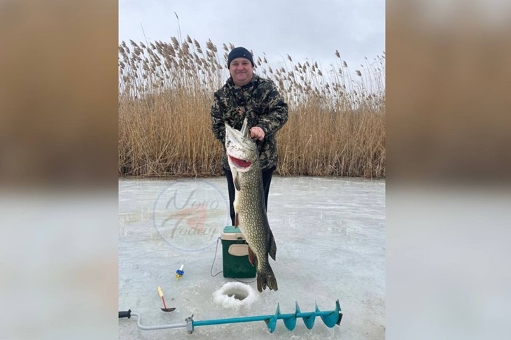 В Новоаннинске братья-рыбаки выловили гигантскую щуку