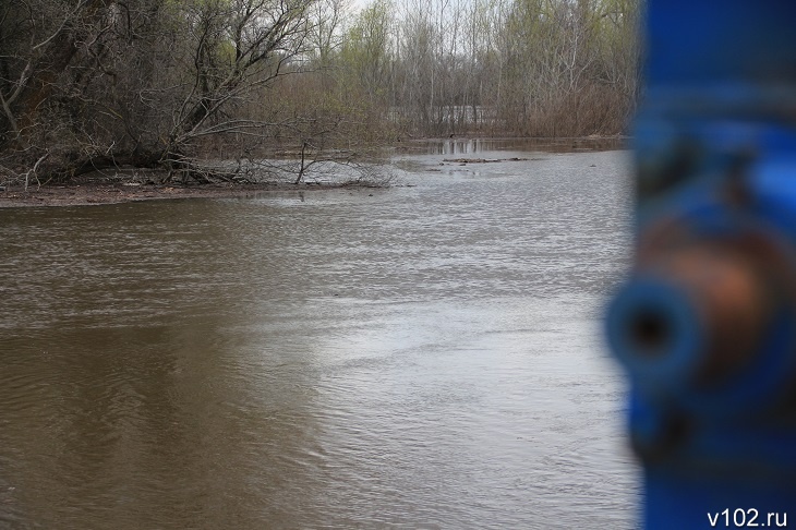 На реках в Волгоградской области начался подъем уровня воды