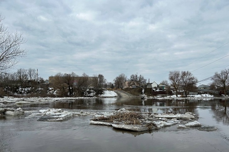 Подъем воды зафиксировали в реке Хопер в Саратовской области