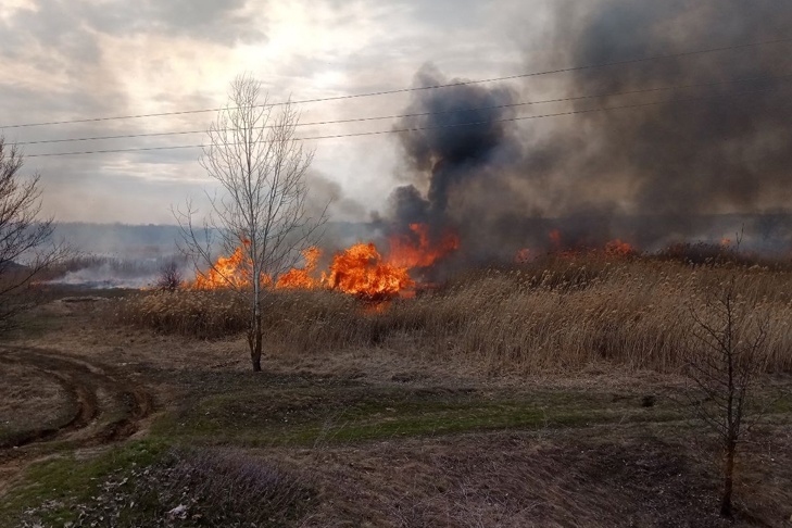 Михайловку взяли в полукольцо четыре крупных ландшафтных пожара