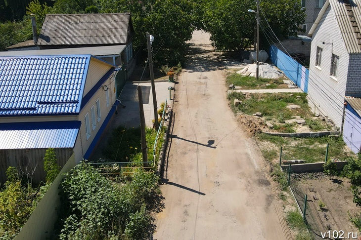 Волгоградским дачникам грозит срок за выращивание кактусов и грибов