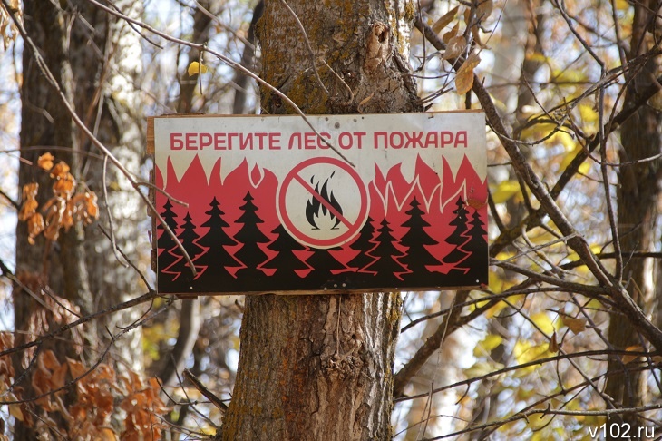 Синоптики предупредили о высокой пожароопасности в Волгоградской области