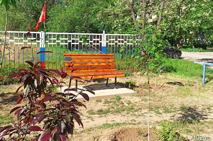 «Теперь это Сашин уголок»: волжане засаживают цветами народную аллею в память о герое СВО