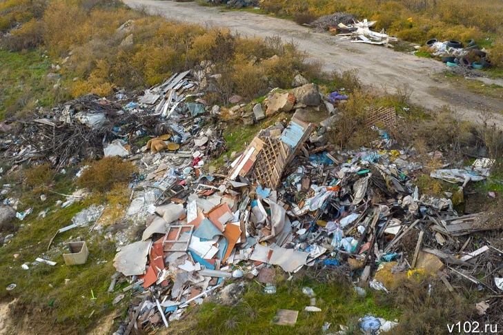 В Волгограде лесничество ликвидирует 33 свалки за 2,4 млн рублей