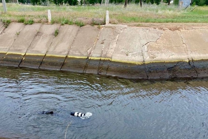 Под Волгоградом 8-летний ребенок утонул в оросительном канале