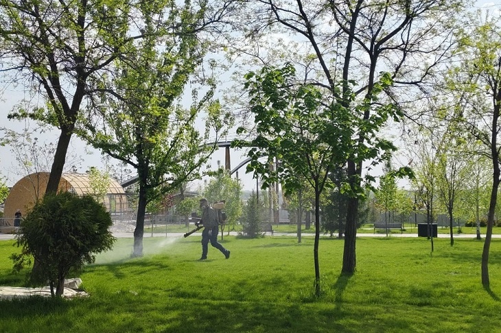 В ЦПКиО Волгограда потравят кровососущих