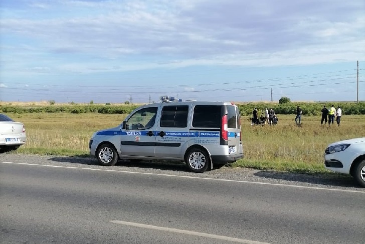 Скелет у дороги: на обочине трассы под Волгоградом нашли умершего год назад человека