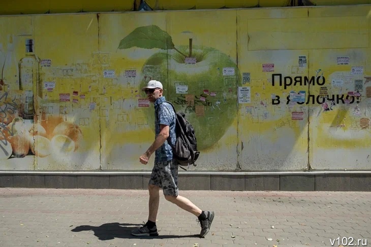 В Волгограде и области на смену сильному ветру придет жара до +35º