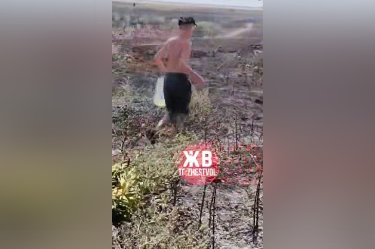 «Пожарка уехала, а мы тушим»: в Светлоярском районе огонь остановлен у СНТ «Мечта»