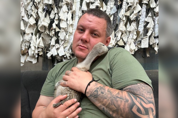 Бойцы СВО передали в приют «Птичий Остров» оставшихся без родителей птенцов лебедей