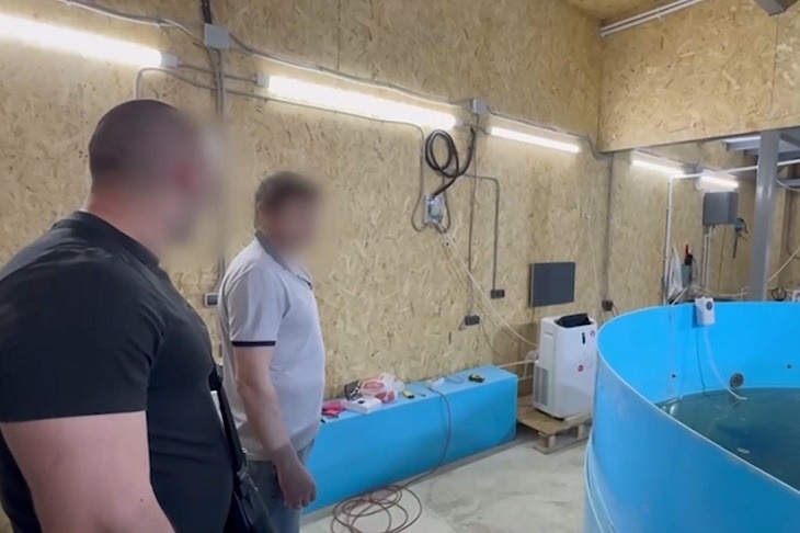 Волгоградцы в автосервисе подпольно вырастили более 700 осетров