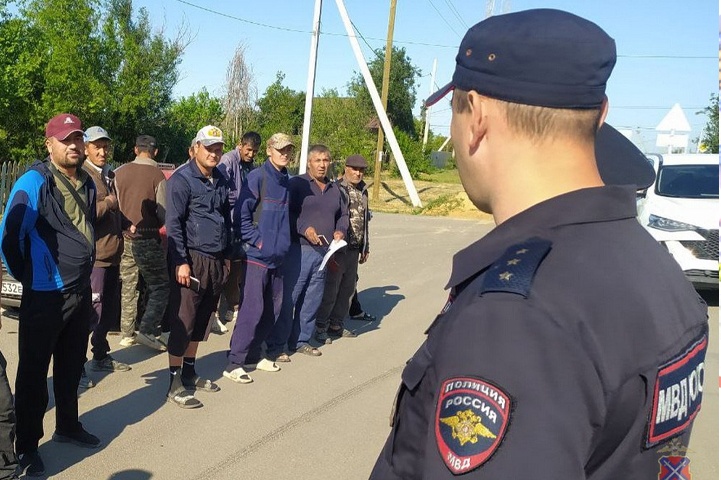 Под Волгоградом нелегальных мигрантов искали с помощью расчётов БПЛА