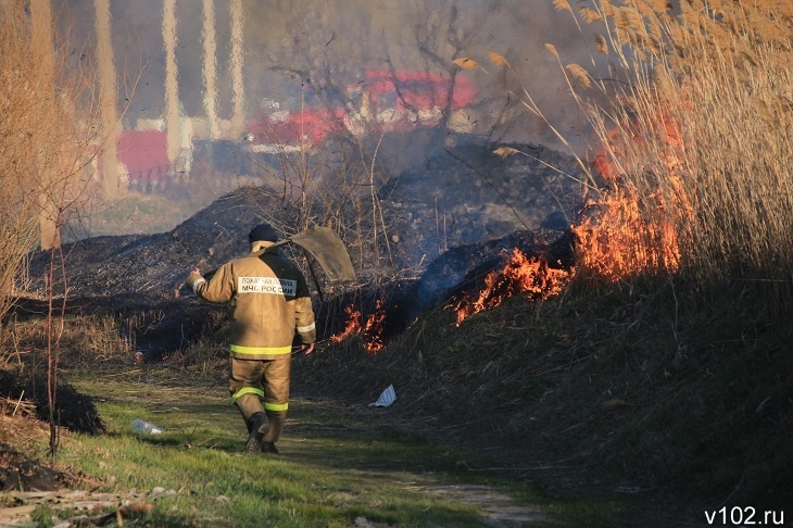 Оранжевый уровень погодной опасности ввели в Волгоградской области