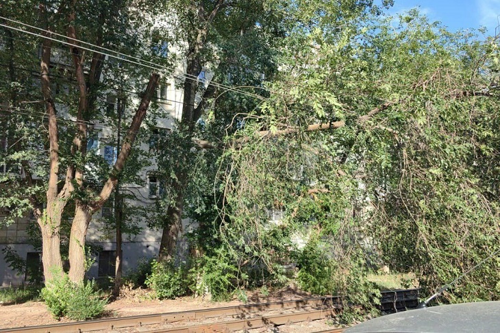 В Волгограде в очередной раз остановлены трамваи несчастливого маршрута №12