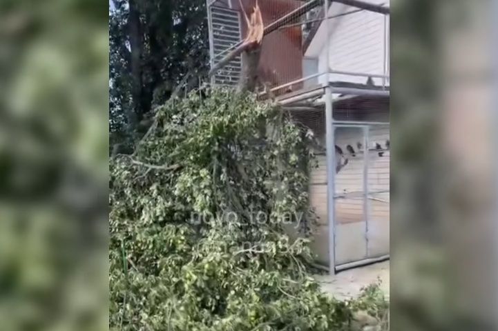 Волгоградцы засняли на видео последствия разгула урагана на севере региона