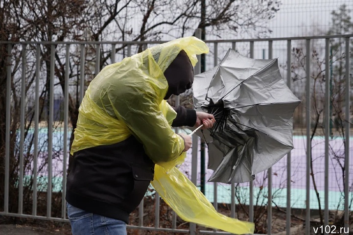 Будет всё, кроме снега? Гидрометцентр предупредил волгоградцев о масштабном разгуле стихии