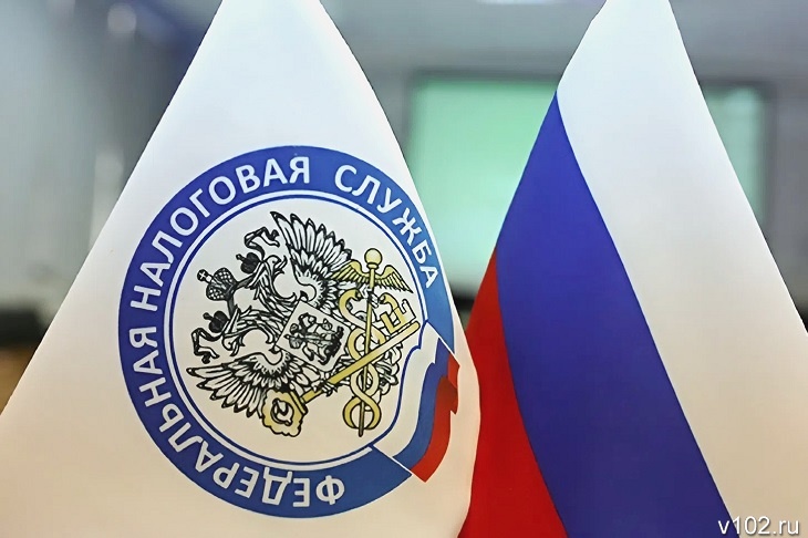 Волгоградцам рассказали, как оформить ИНН в удобном онлайн-формате