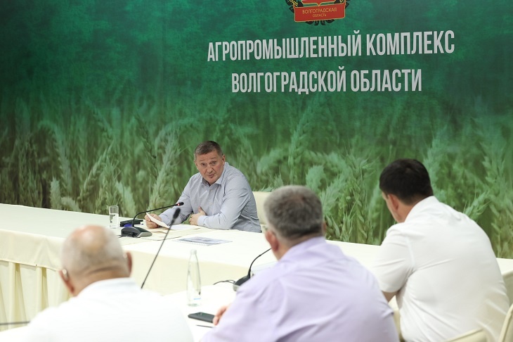 Андрей Бочаров поручил достойно завершить сбор зерна регионе