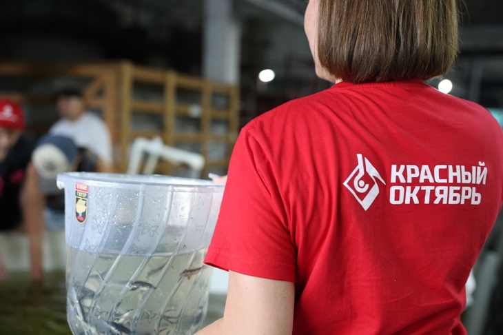 «Красный октябрь» в третий раз поддержал экологическую акцию по восстановлению популяции русского осетра