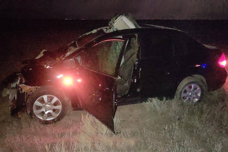Корова покалечила двух человек на трассе под Волгоградом