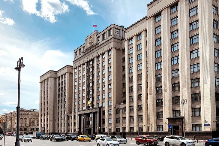 В Госдуме нашли ещё 80 причин для лишения новоиспечённых россиян гражданства