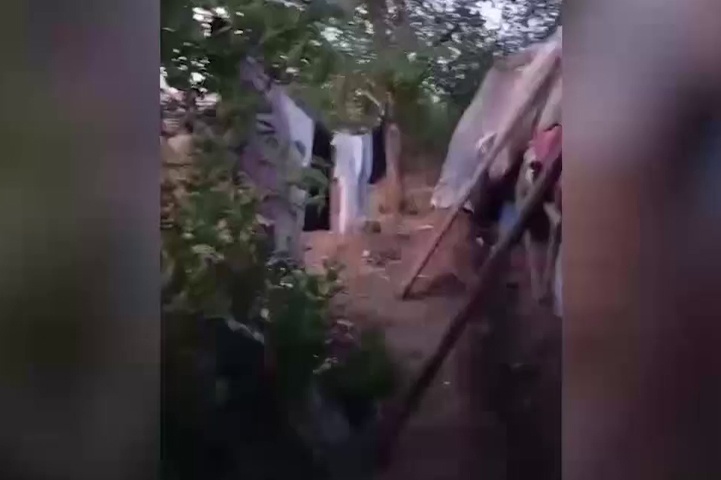 Под Волгоградом полицейские обнаружили в полях бараки мигрантов-нелегалов