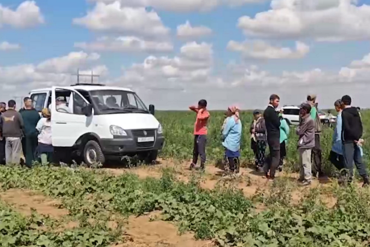 Под Волгоградом БПЛА выследили в капусте нелегалов-мигрантов