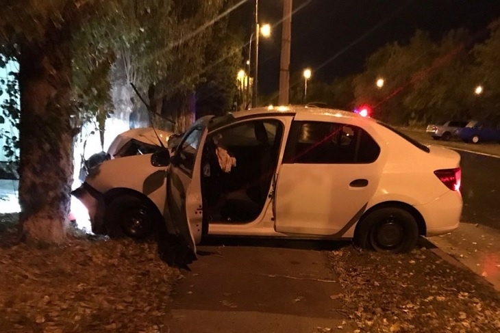 Дерево возникло на пути иномарки в Волгограде, пострадали двое