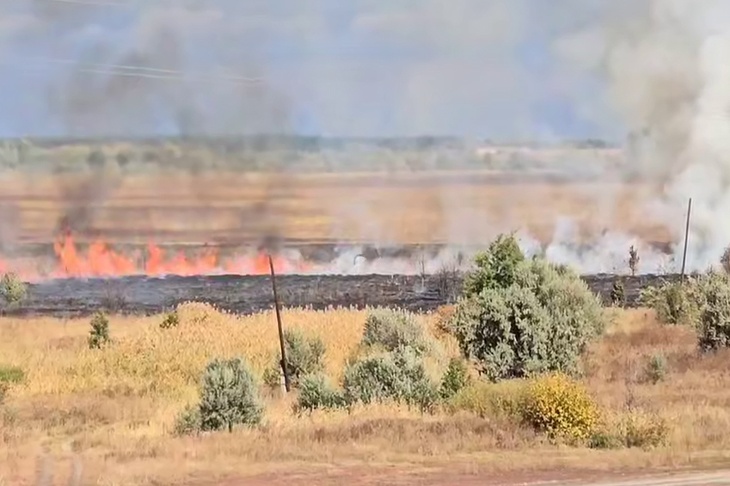 Под Волгоградом спасатели остановили стену огня у города Новоаннинский