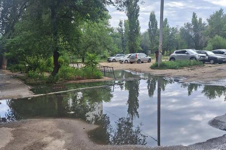 Зловонное болото вторую неделю поглощает центральные дворы в Волгограде