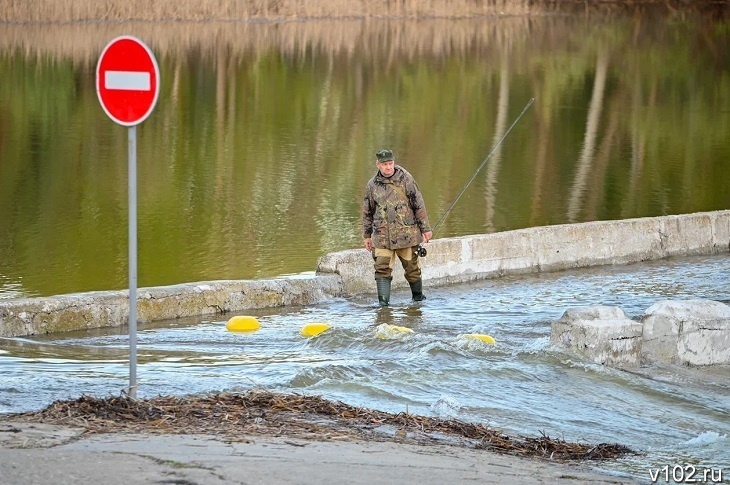 Минсельхоз продлил запрет на вылов воблы в Волге