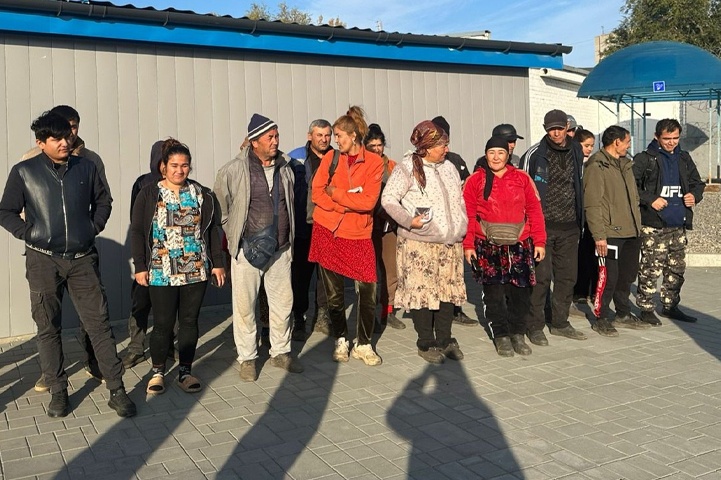 Полиция вновь собрала «урожай» мигрантов на полях под Волгоградом
