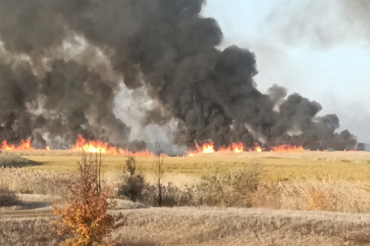 «Ветер гонит к хутору»: под Волгоградом засняли жуткий пожар, бушующий в Волго-Ахтубинской пойме