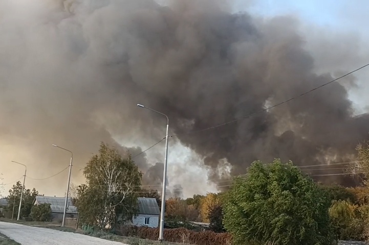 Под Волгоградом пожар в Волго-Ахтубинской пойме охватил 200 га