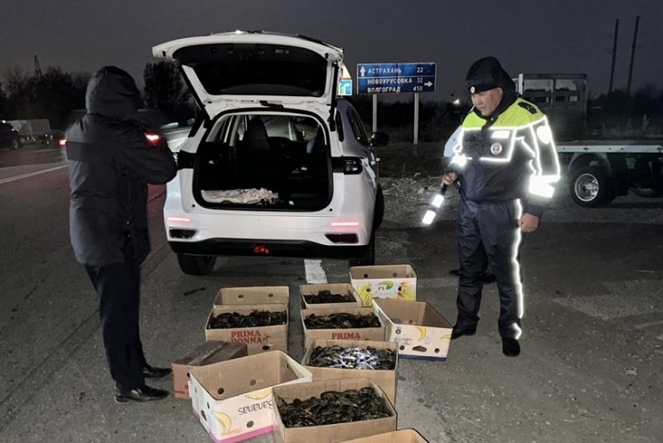 Полицейские под Астраханью даровали жизнь 1800 пленных раков