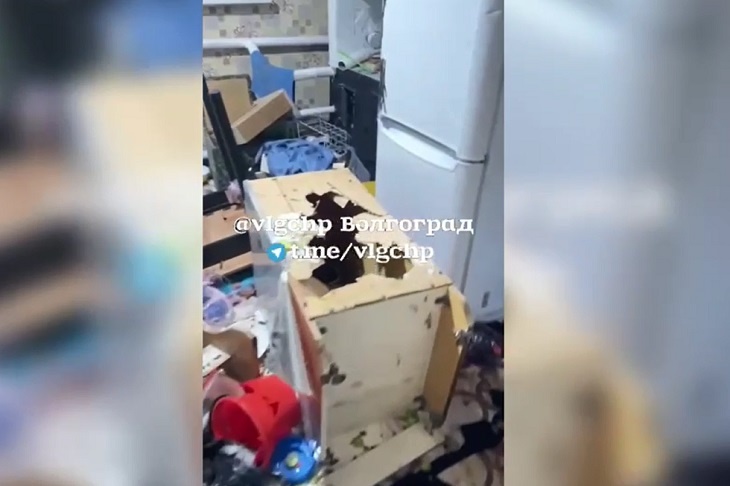 «Это что за звери такие?»: дети в отместку на замечание разгромили дом и убили петуха под Волгоградом