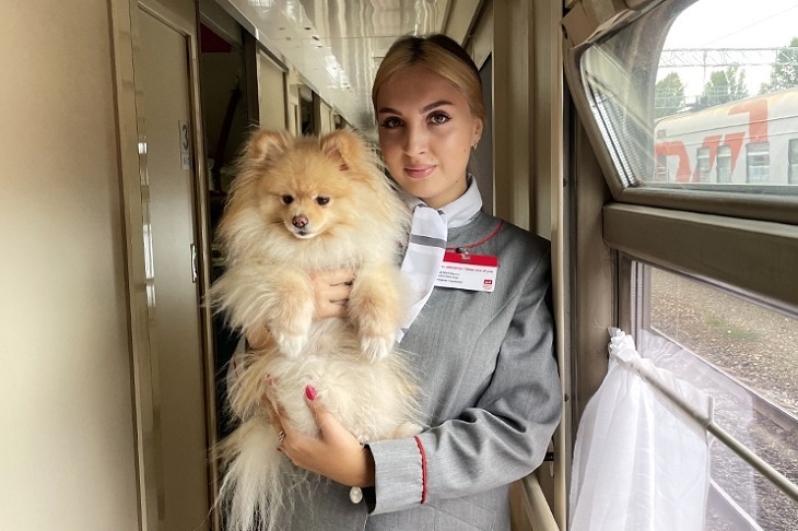 С начала года в путешествие по железной дороге отправили более трех тысяч животных
