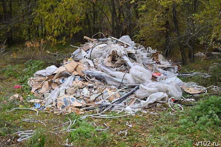 В Волгограде выделили новые миллионы для ликвидации свалки на Лысой горе