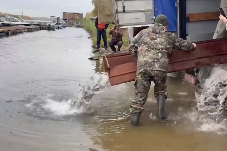Река Ахтуба под Волгоградом стала домом для 20 тыс. мальков сазана