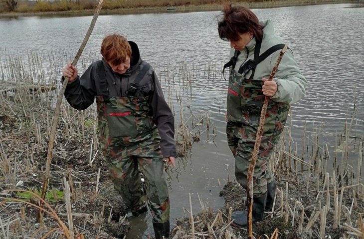 80 обитаемых норок реликтовой выхухоли нашли в Волгоградской области