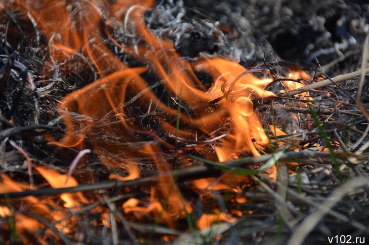 Троих волгоградских подростков наградят медалями «За проявленное мужество»