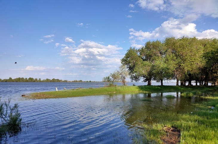 Захват реки Бузан под Астраханью: прокуратура нашла виновных чиновников