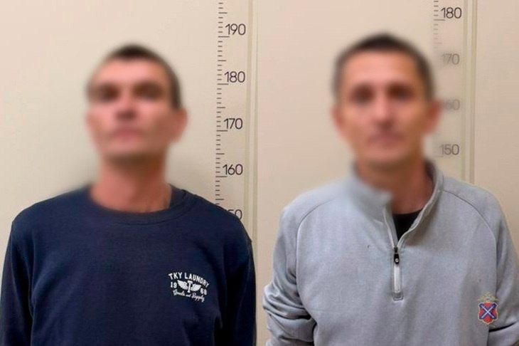 В дендропарке Волгограда два рецидивиста украли у студента смартфон с наушниками