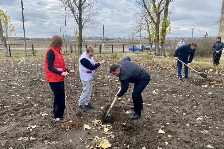 В Урюпинске высадили Аллею Единства из молодых яблонь