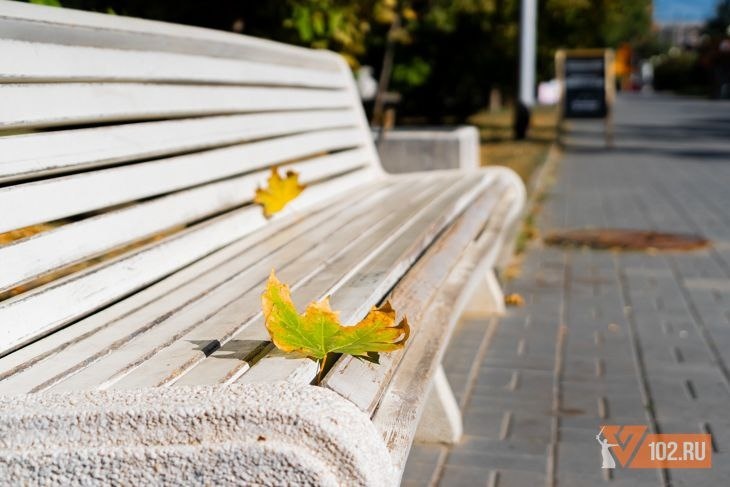 Заморозки до -5 и гололед обещают в Волгоградской области